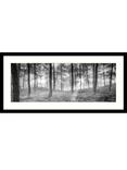 John Lewis Mike Shepherd 'Misty Trees' Framed Print & Mount, 49 x 104cm