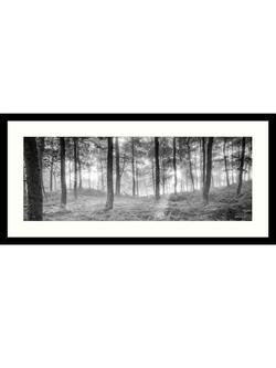 John Lewis Mike Shepherd 'Misty Trees' Framed Print & Mount, 49 x 104cm, Black/White