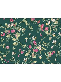 Cole & Son Sweet Pea Wallpaper, 115/11033