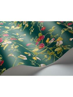 Cole & Son Sweet Pea Wallpaper - view 2, 115/11033