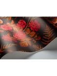 Cole & Son Rose Wallpaper