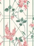 Cole & Son Wisteria Wallpaper