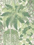 Cole & Son Fern Wallpaper
