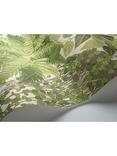 Cole & Son Fern Wallpaper