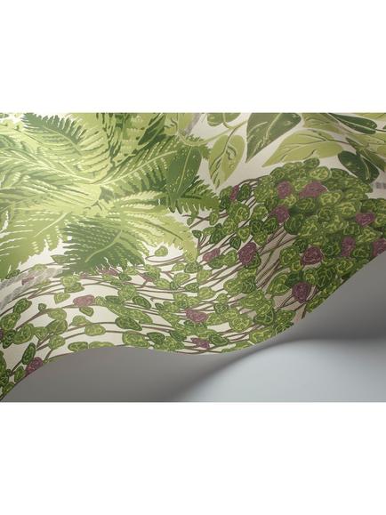 Cole & Son Fern Wallpaper - view 2, 115/7021