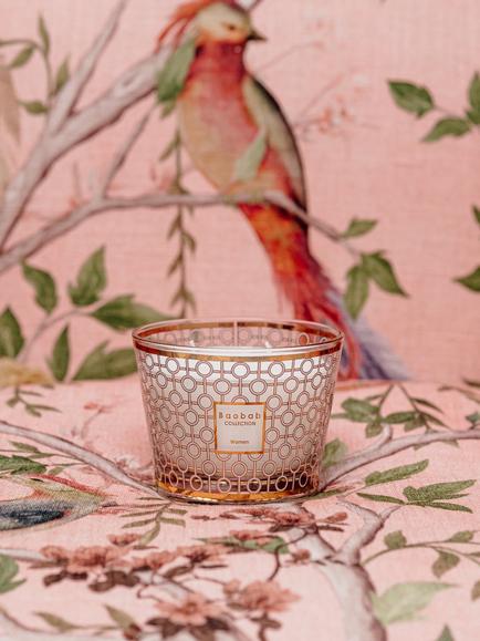 Baobab Collection Max 10 Woman Scented Jar Candle, 950g - view 2, Multi