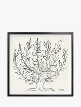 John Lewis Henri Matisse 'The Plain Tree 1951' Framed Print & Mount, 102 x 102cm