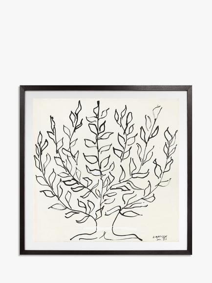 John Lewis Henri Matisse 'The Plain Tree 1951' Framed Print & Mount, 102 x 102cm, Black