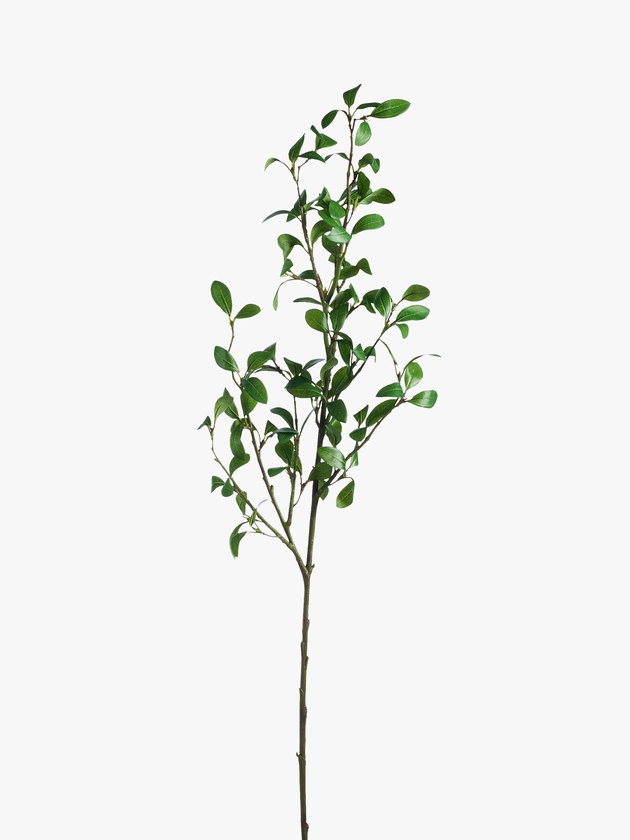 Peony Artificial Privet Spray Stem