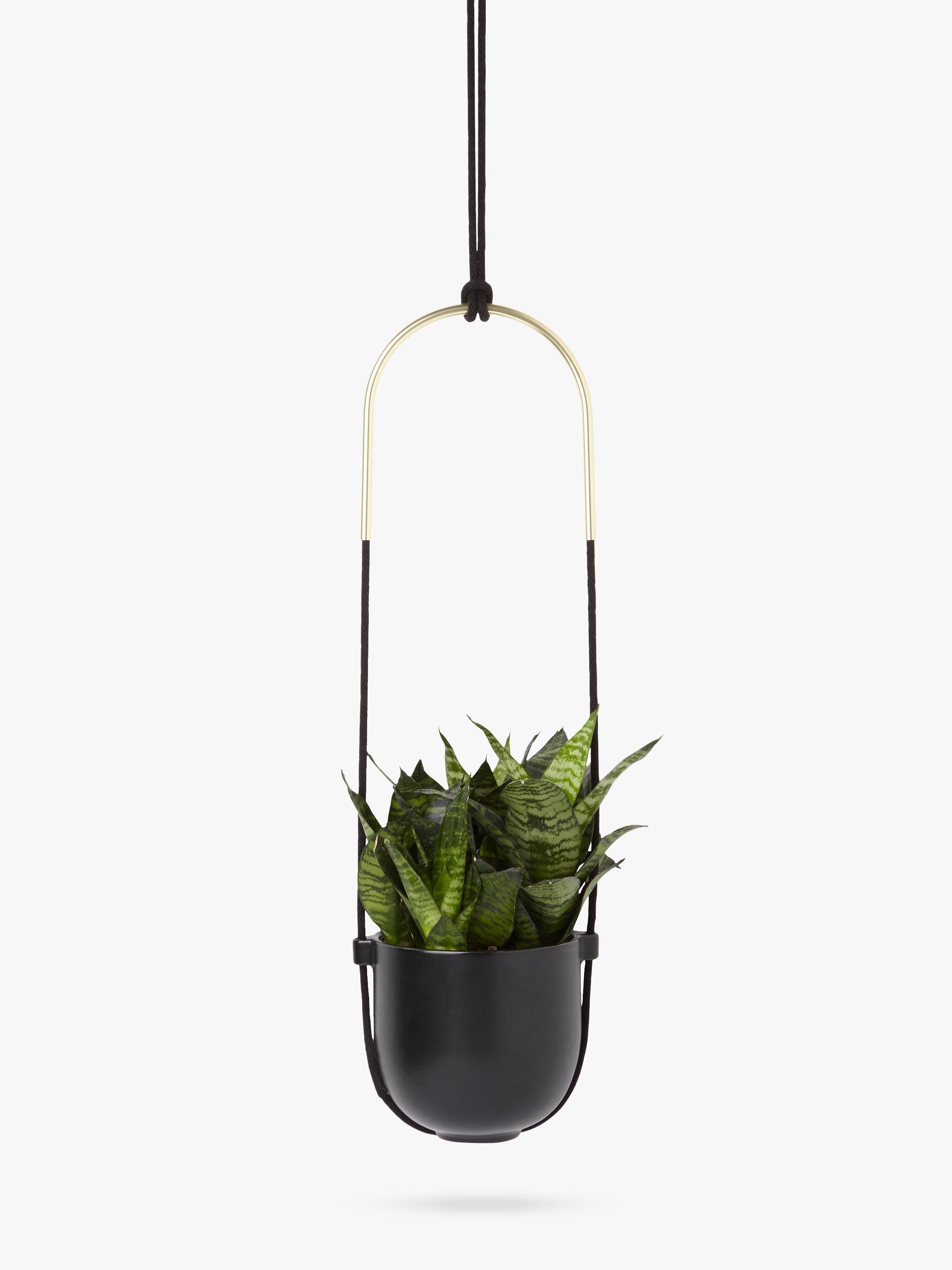 Umbra Bolo Hanging Planter, Black/Brass