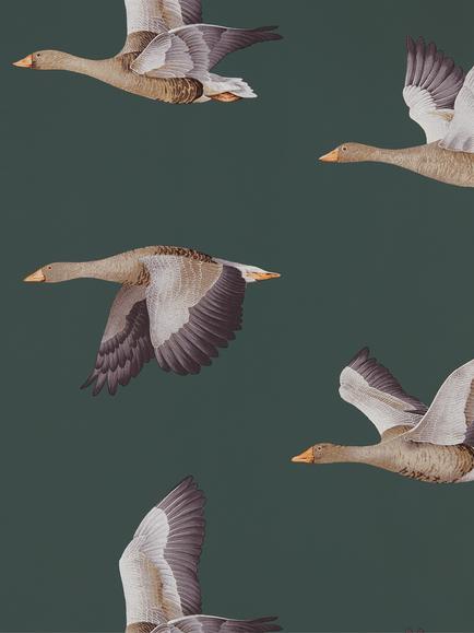 Sanderson Elysian Geese Wallpaper, 216608