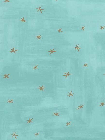 Villa Nova Twinkle Twinkle Wallpaper, W581/01