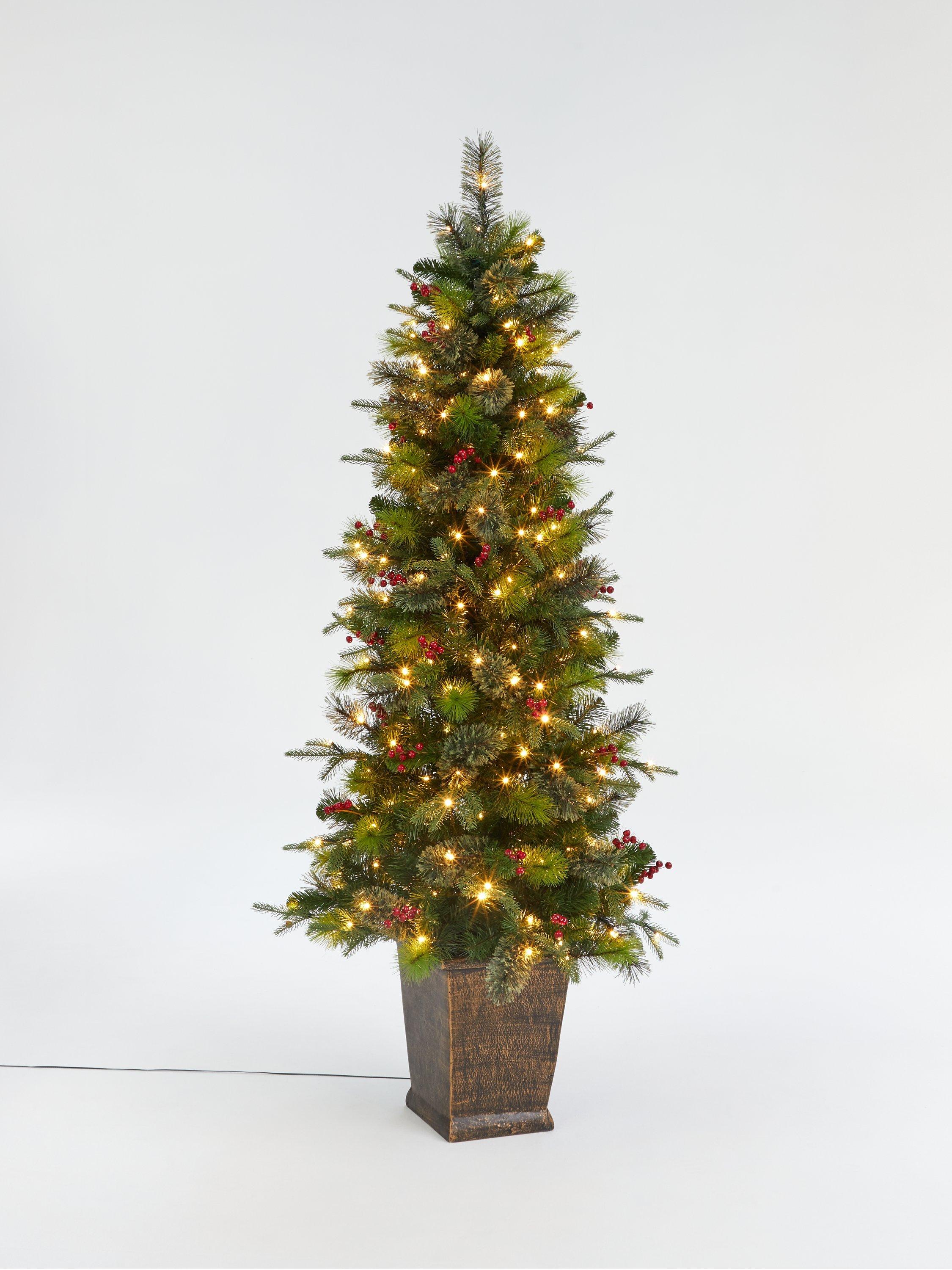John Lewis & Partners Balmoral Potted Pre-Lit Christmas Tree, 6ft
