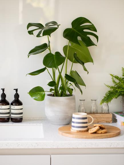 The Little Botanical Monstera Ceramic - view 2, Multi