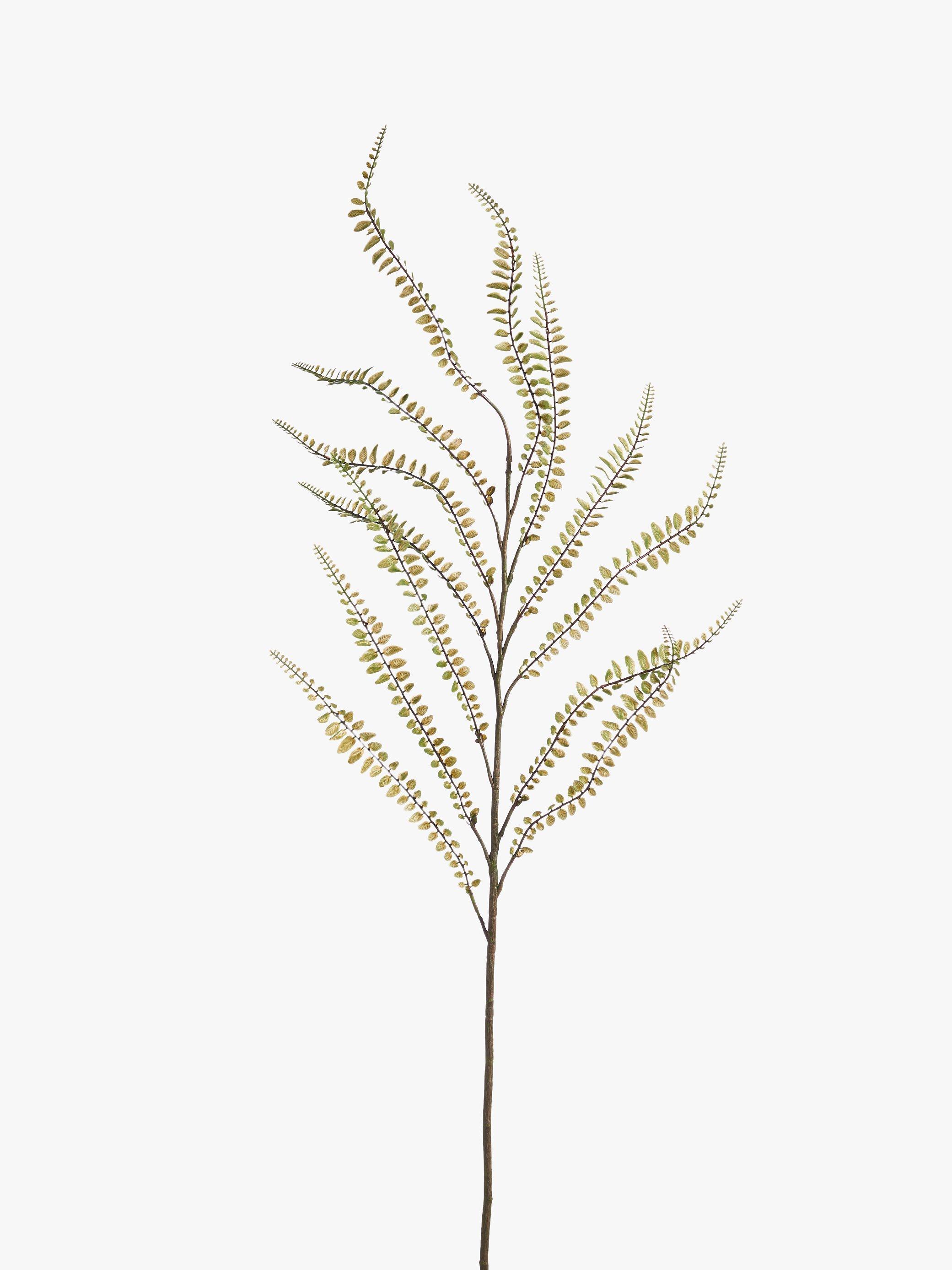 Peony Fern Branch Artificial Flower Stem