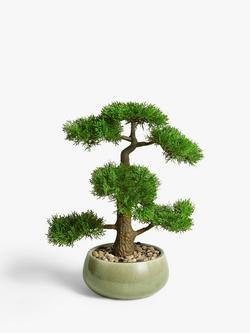 John Lewis Artificial Bonsai Pine Tree, 