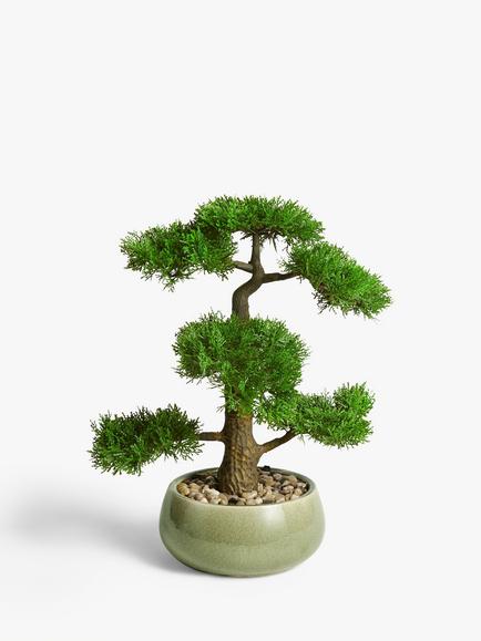 John Lewis Artificial Bonsai Pine Tree, 