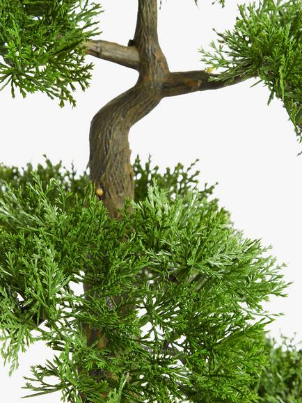 John Lewis Artificial Bonsai Pine Tree - view 2, 