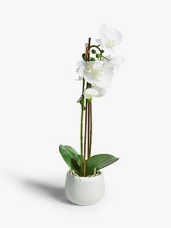 John Lewis Artificial Large White Orchid, White