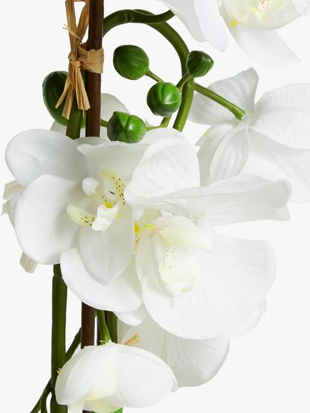 John Lewis Artificial Large White Orchid - view 2, White