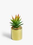 John Lewis Artificial Tall Spiky Succulent & Gold-Toned Pot