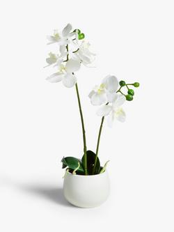 John Lewis Artificial Small White Orchid in Ceramic Pot, 
