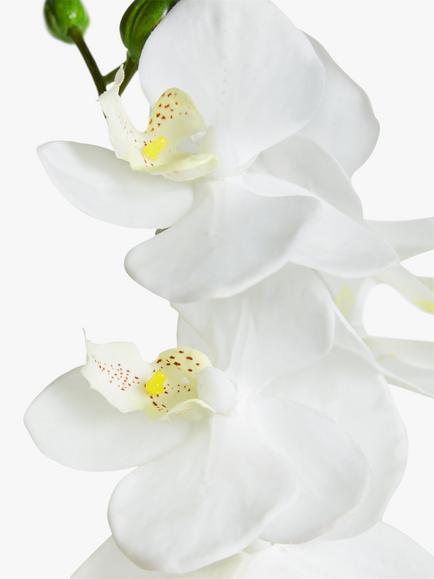 John Lewis Artificial Small White Orchid in Ceramic Pot - view 2, 