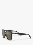 Ray-Ban RB4306 Unisex Polarised Sunglasses