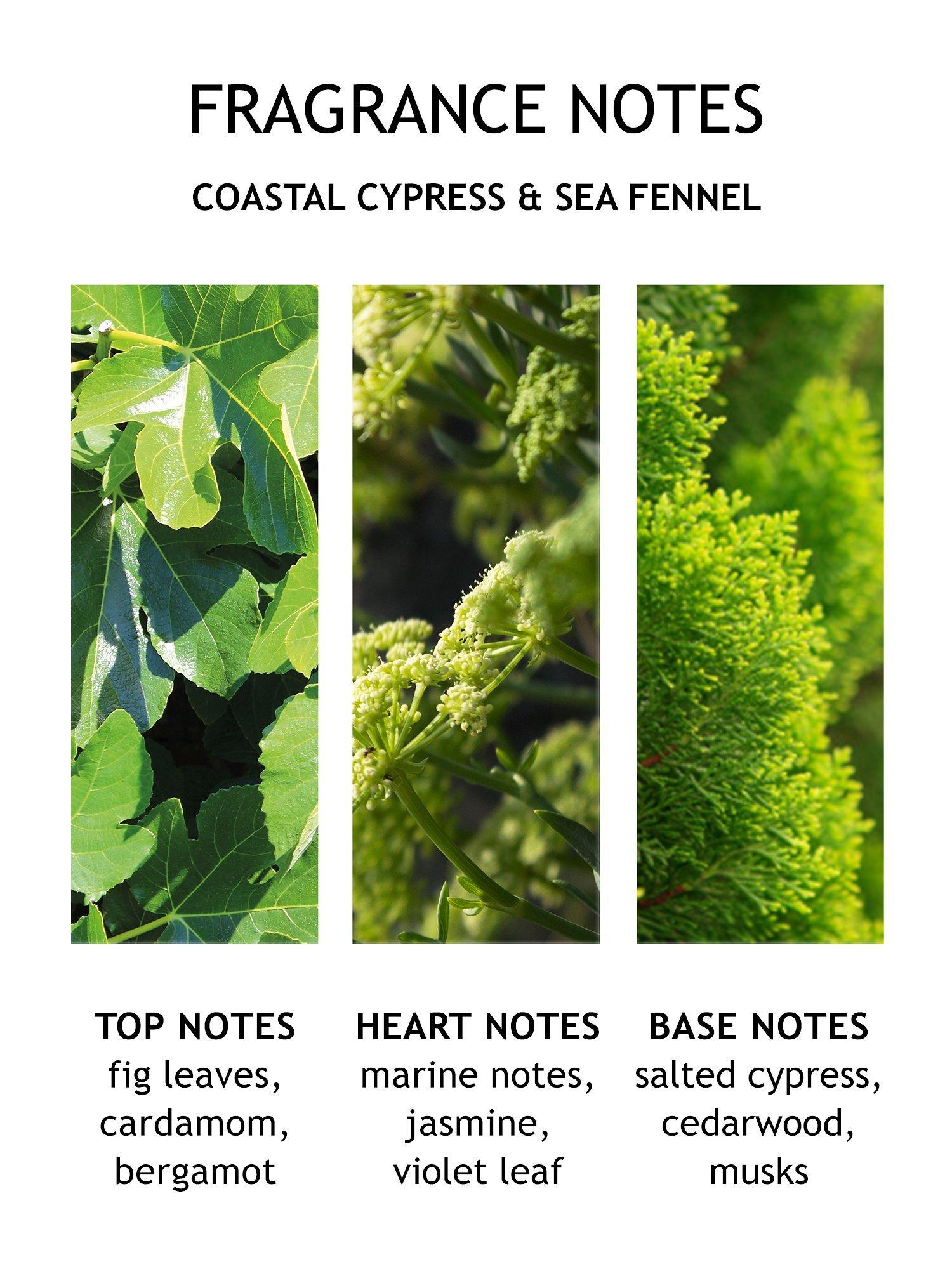 Product image 2 of 5, which shows Molton Brown Coastal Cypress & Sea Fennel Bath Salts, 300g