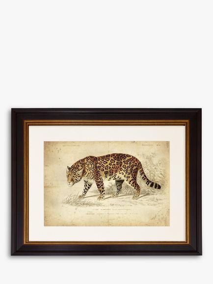 Brookpace Lascelles 'Jaguar' Framed Print & Mount, 46 x 55cm, Brown, Brown