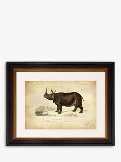 Brookpace Lascelles 'Rhinoceros' Framed Print & Mount, 46 x 55cm, Grey, Grey
