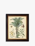 Brookpace Lascelles 'Fruitful Palm I' Framed Print, 51 x 41cm, Green