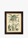 Brookpace Lascelles 'Fruitful Palm II' Framed Print, 51 x 41cm, Green