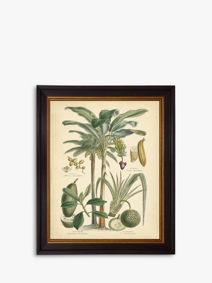 Brookpace Lascelles 'Fruitful Palm II' Framed Print, 51 x 41cm, Green, Green