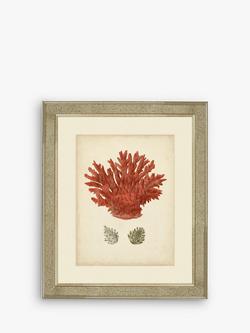 Brookpace Lascelles 'Red Coral III' Framed Print & Mount, 60 x 50cm, Red, Red
