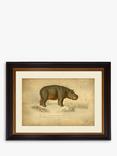 Brookpace Lascelles 'Hippopotamus' Framed Print & Mount, 46 x 55cm, Grey