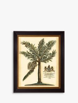Brookpace Lascelles 'Fruitful Palm III'' Framed Print, 51 x 41cm, Green, Green