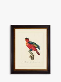 Brookpace Lascelles 'Tropical Bird IV' Framed Print & Mount, 60 x 50cm, Red, Red