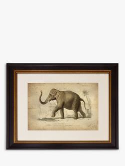 Brookpace Lascelles 'Elephant' Framed Print & Mount, 46 x 55cm, Grey, Grey