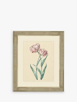 Brookpace Lascelles 'Tulips I' Framed Print & Mount, 60 x 50cm, Pink/Multi, Pink/Multi