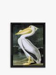 Brookpace Lascelles John James Audubon 'Pelican' Framed Print, 86 x 66cm, White