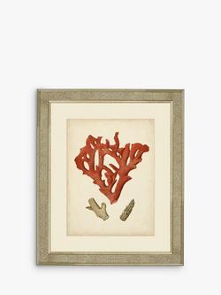Brookpace Lascelles 'Red Coral II' Framed Print & Mount, 60 x 50cm, Red, Red