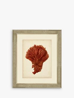 Brookpace Lascelles 'Red Coral I' Framed Print & Mount, 60 x 50cm, Red, Red