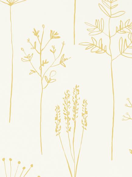 Scion Stipa Wallpaper, Nzaw112021