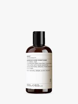 Evolve Organic Beauty Superfood Shine Natural Conditioner, 