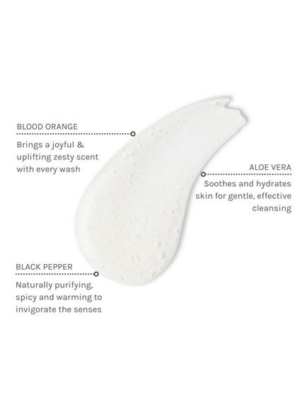 Evolve Organic Beauty African Orange Aromatic Wash for Hands & Body, 500ml - view 2, 