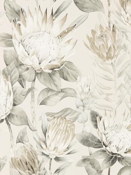 Sanderson King Protea Wallpaper, Dglw216647