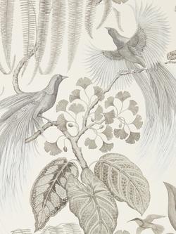 Sanderson Bird of Paradise Wallpaper, Dglw216652
