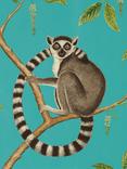 Sanderson Ringtailed Lemur Wallpaper