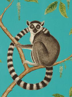 Sanderson Ringtailed Lemur Wallpaper, Dglw216663